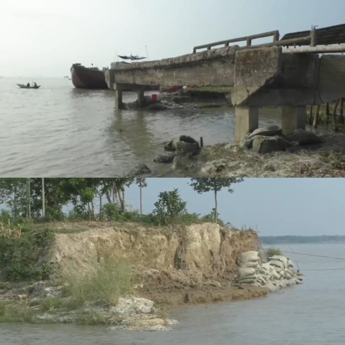ভোলার মেঘনায় তীব্র ভাঙন, ঘরবাড়ী ও ফসলি জমি বিলীন, আতংকিত নদীর পাড়ের মানুষ